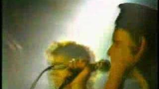 The Dickies  Nobody But Me Live 1983 [upl. by Faulkner126]