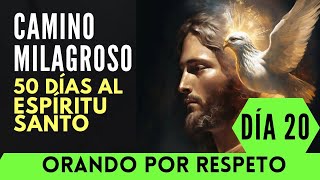 día 20 CAMINO MILAGROSO🔥 50 días pidiendo al ESPÍRITU SANTO por RESPETO entre las familias 🙏 [upl. by Barn]