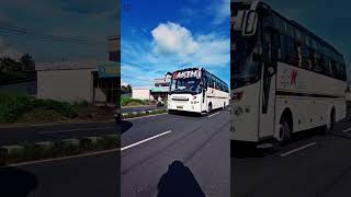 കടുവ 💥 automobile palakkad bus touristbus [upl. by Bevus]