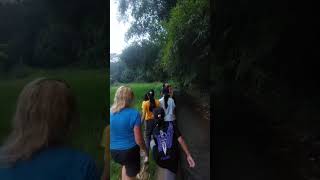 Berjalan kaki di pedesaan di sore hari cianjur cianjurinshort sawah pedesaan [upl. by Clarkson]