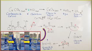 Reacción de Carbonato de Calcio con Ácido Clorhídrico  Mecanismo de Reacción [upl. by Hale]