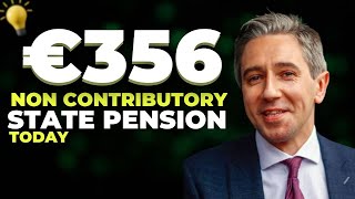 GET READY SENIORS  €356 NON CONTRINUTORY STATE PENSION FOR IRELANDS SENIORS  COMING TODAY [upl. by Solnit]