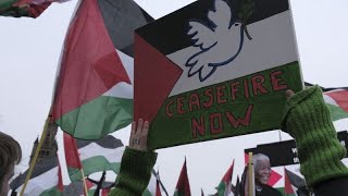 Gaza  la CIJ doit se prononcer sur larrêt de loffensive israélienne [upl. by Ahgiela]