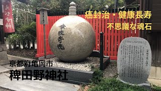 【参拝シリーズ＃13】京都府亀岡市『稗田野神社（ひえだのじんじゃ）』癌封治・パワースポット [upl. by Eiramnwad]