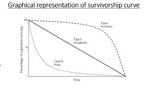 SURVIVORSHIP CURVES  TYPES AND EXAMPLES [upl. by Aninnaig132]