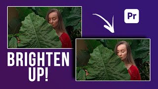 How to Make Face Bright in Adobe Premiere Pro [upl. by Geanine973]