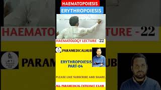 haematology haematopoiesis mlt haemopoiesis erythropoiesis formationofblood mlt bmlt [upl. by Bonnes]