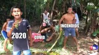 Niños brasileros tocando y peleando versión 2020 [upl. by Lateh186]