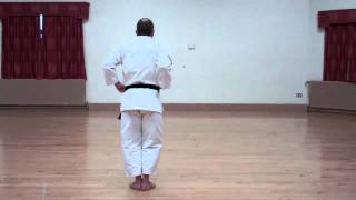 Wado Karate Pinan Sandan performed by Neil Pottinger [upl. by Lynnett]