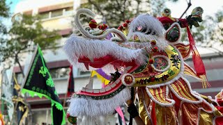 Honolulu Lunar New Year Parade amp Night in Chinatown 2024 Highlights [upl. by Oruam583]