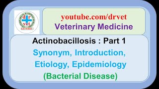 Actinobacillosis Part 1 synonym introduction etiology epidemiology [upl. by Erskine]