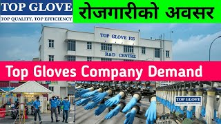 Malaysia Top Gloves Gompany Vacancy  Malaysia Demand In Nepal  Top Gloves Demand In Nepal [upl. by Lissner241]