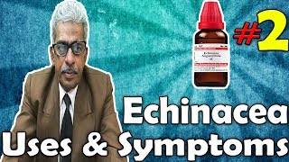 Echinacea Part 2  Uses and Symptoms in Homeopathy by Dr PS Tiwari [upl. by Koressa645]