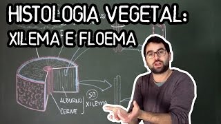 Histologia Vegetal Tecidos de Condução de Seiva  Aula 14  Módulo V Botânica Prof Guilherme [upl. by Nylhtak]