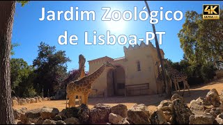 4k  Passeio COMPLETO no JARDIM ZOOLÓGICO de LISBOAPT [upl. by Barolet254]