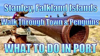 Stanley Falkland Islands  Walk Through Town  What to Do in Port [upl. by Aroc137]