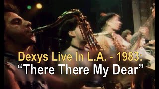 Dexys Live In LA  1983 quotThere There My Dearquot [upl. by Nidorf247]