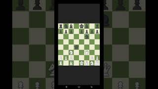 Learn What is Rayder Gambit  chess  checkmate  viralvideo😨😱 [upl. by Barnaba]