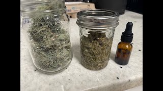 How to Identify and Make Simple Usnea TIncture [upl. by Amadeo]