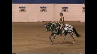 1997 Quarter Horse Congress Freestyle Smoke Ninty Three and Leslie GillespieDarrow [upl. by Dilly]