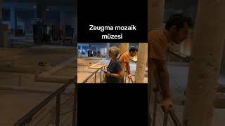 Gaziantep Zeugma mozaik müzesi gaziantep travel zeugma [upl. by Muraida406]