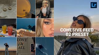 Cohesive Feed 02 preset  Instagram feed  lightroom presets [upl. by Anillehs]