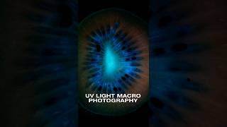 UV Light Macro Photography macro UVlight UV lighting [upl. by Wall]