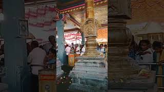 Mecheri bathrakaliyamman templeshorts kodimaram travel temple trendingshorts travelvideo vlog [upl. by Briano]