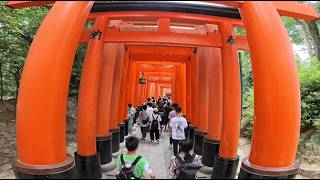 Walkthrough of Fushimi Inari Shrine One of Japans Most Famous Shrines [upl. by Leno]