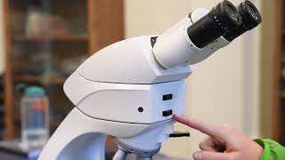 The Petrographic Microscope [upl. by Nylehtak]