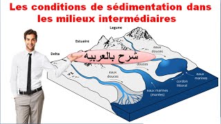 Les conditions de sédimentation dans les milieux intermédiaires شرح بالعربية [upl. by Meenen]