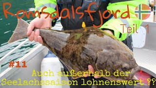 12 Norwegen Angeln im Romsdalsfjord Teil 1  Dorsch Seelachs Pollack Heilbutt Hering Fishing [upl. by Notsob705]