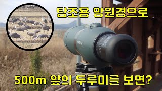 독일제 탐조용 망원경 옵토리쓰 Compact G80을 사용하여 500m 앞의 두루미를 보면 [upl. by Monahan]