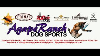 NADAC Agility from Agape Ranch Dog Sports [upl. by Lledo]