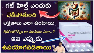 How to improve GUT health  what is prebiotic amp probiotic capsules  indigestion  pharmaamphealth [upl. by Aidualk]