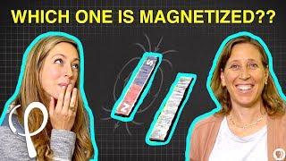 Can you solve the MAGNET RIDDLE ft YouTube CEO Susan Wojcicki [upl. by Kariv]