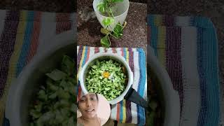 Parippu peechinga currycooking recipe kerala thrissurstyle trendingreels shortstrending [upl. by Legin]