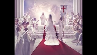 Day 9  Mystical Marriage Novena Daily Prayers  Part 1  9 days [upl. by Annaed]