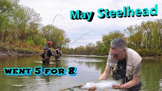 May the 4th Steelhead Slam  5 for 8 hookups [upl. by Royall]