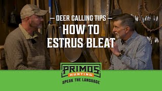 Deer Calling Tips  When And How To Estrus Bleat [upl. by Kamillah160]