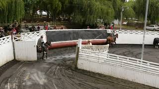 SERIE CABALLOS RODEO PURRANQUE 21 y 22 de enero de 2023 [upl. by Hadria]