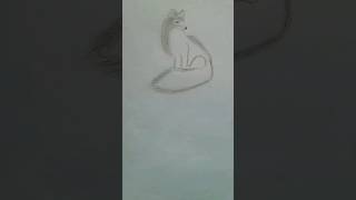 How to draw arctic foxHow to draw a realistic fox easydrawingtutorials shortfeed [upl. by Tamanaha607]