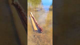 How To Clean Out Yidaki Didgeridoo Barunga Community Northern Territory My Childhood Home [upl. by Sverre]