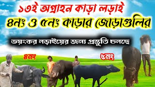 ১৩ই অগ্রাহন কাড়া লড়াইয়ে ৪নং ও ৫নং কাড়ার জোড়াগুলির জোরদার প্রস্তুতি চলছে [upl. by Carnay]