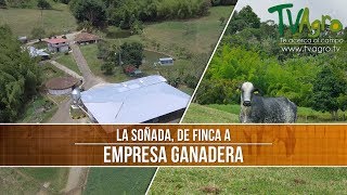 Como Transformar tu Finca a Empresa Ganadera  TvAgro por Juan Gonzalo Angel [upl. by Suhcnip]