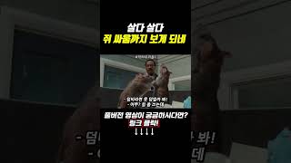 살다 살다 쥐 싸움까지 보게 되네 ㅋㅋㅋ movie movieclips film 영화리뷰 영화 닥터두리틀1 [upl. by Nairoc743]