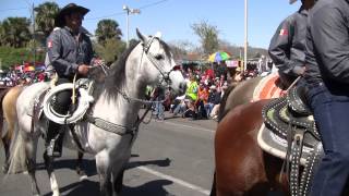 Charro Days Grand International Parade Upload 1 of 5 [upl. by Yllrebmik]