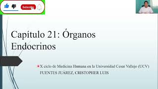 HISTOLOGÍA ÓRGANOS ENDOCRINOS [upl. by Eijneb]