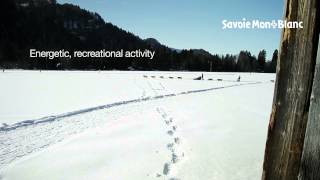 Dog sledging in Samoëns [upl. by Hayalat128]