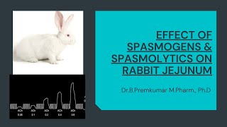 Effect of Spasmogens and Spasmolytics on Rabbit Jejunum [upl. by Ange]